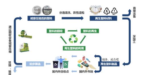 全球塑料循环领导者 海外收入占比近8成 上半年净利同比增1.8倍